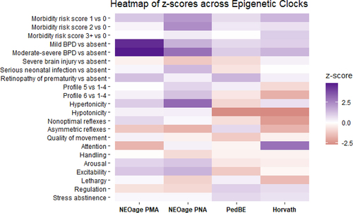 Figure 3. Heatmap of z-scores across epigenetic clocks. Models were adjusted for sex, site, maternal education, maternal obesity status, maternal smoking status, maternal age, site, and clustered by family to account for siblings. NEOage PMA models were also adjusted for PMA, and the three others adjusted for PNA.