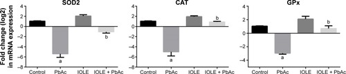 Figure 4 Ameliorative effects of IOLE pre-administration on mRNA expression of SOD2, CAT, and GPx genes in the kidney of rats exposed to PbAc for 5 days.