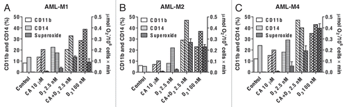 Figure 2 Enhanced differentiation of leukemic blasts from patients with AML following combined treatment with 1,25D and CA ex vivo. Mononuclear cells were isolated from blood specimens of patients with AML-M1 (A), M2 (B) and M4 (C) and incubated at 2 × 105 cell/ml with the indicated agents for 144 h, as described in Materials and Methods. CD11b and CD14 expression was determined by flow cytometry. TPA-stimulated superoxide production was measured in triplicate by the cytochrome c reduction assay (means ± SD).