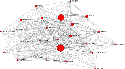 Figure 4. Core international collaboration networks.