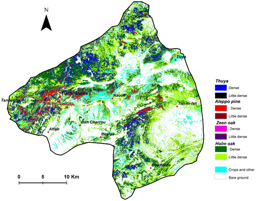 Figure 6. Forest density map for 2015. Source: Author.
