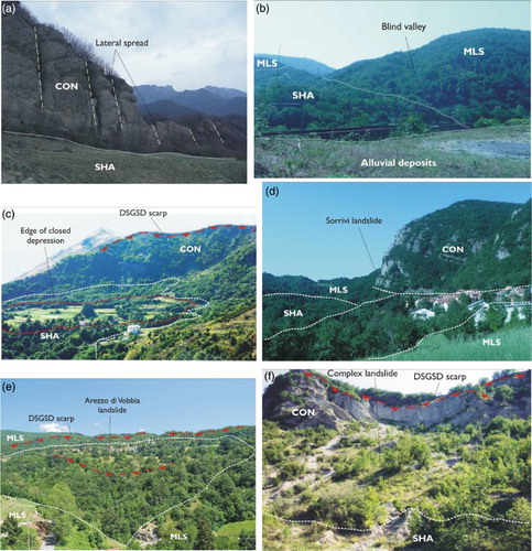 Figure 6. Pictures of six case studies; (a) Gabbie di Savignone: lateral spread phenomena Conglomerate/Shales contact; (b) Prarolo (Isola del Cantone): blind valley on the right along a slope characterized by para-karst forms (sinkholes); the profile simulates a valley trend determined by the core of an anticline where the weak Montoggio Shales outcrop; (c) Cipollina (Ronco Scrivia): wide reverse slope and closed depression at Case Porale with marsh vegetation; (d) Sorrivi: scarp/counterscarp slope around the Conglomerate and marly-limestone contact. The conglomerate block is tilted and the slope below the village is characterized by massive presence of rock blocks; (e) Arezzo di Vobbia: note the low ridge and stepped profile. The village lies on an active landslide and (f) Bric Castellazzo at Montessoro (Isola del Cantone): low ridge simulates a syncline strata bedding. Note the complex landslide scarp.