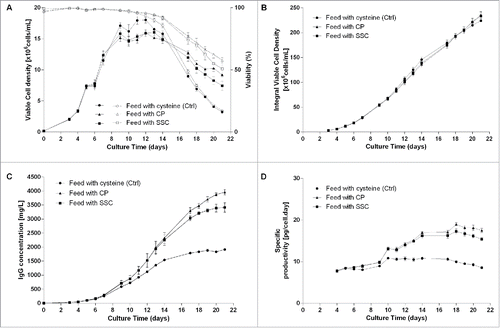 Figure 1. 1.2 L bioreactor fed-batch experiment using a feed containing either cysteine (control, n = 2), cysteine stabilized with pyruvate (CP) or SSC (n = 5 each). Feed was added at 3% (v/v) at day 3 and 6% (v/v) at days 5, 7, 9 and 14. (A) Viable cell density (plain lines) and viability (dotted lines), (B) Integral viable cell density, (C) IgG concentration in the supernatant measured by a turbidometric method, (D) Specific productivity.