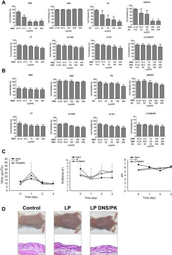 Figure 7 The safety of SME and enzymes in free or liposomal form in vitro and in vivo: (A) the cell viability of keratinocytes (HaCaT) after treatment of SME and enzymes in free or liposomal form for 24 h; (B) the cell viability of monocytes (THP-1) after treatment of SME and enzymes in free or liposomal form for 24 h; (C) the physiological parameters (TEWL, erythema, skin pH value) of the mouse skin after in vivo topical administration of liposomes; and (D) the H&E-stained histology of mouse skin treated by liposomes. All data are presented as the mean of three and six experiments±S.E.M. for cell-based and animal-based studies, respectively. ***p < 0.001; **p < 0.01; *p < 0.05.