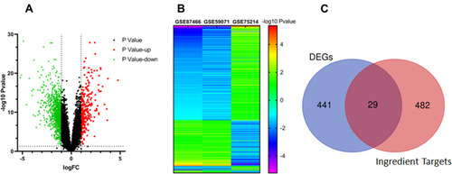 Figure 4 The overlapped targets screening strategy. (A) The volcano plot of the differentially expressed genes (DEGs) in datasets of GSE87466, GSE59071, and GSE75214.The red nodes represent up-regulated DEGs, while green nodes represent down-regulated DEGs; the horizontal dashed lines show the P value is less than 0.05 and the vertical dashed lines indicate the value of /log2 fold change (FC)/ is more than 1. (B) Heatmap of DEGs. The vertical axis represents the genes. The horizontal axis shows the change of expression levels of DEGs in datasets of GSE87466, GSE59071, and GSE75214 by -log10Pvalue. (C) Overlap genes of DEGs and predicted compound targets.