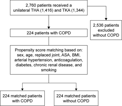 Figure 1 Flowchart of the patients included in the study and patient matching.