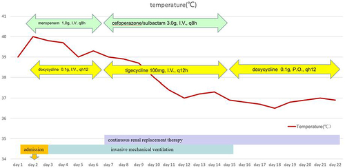 Figure 6 Body temperature changes and treatment process of case 3: the patient’s temperature returned to normal after the application of high-dose tigecycline for 5 days.