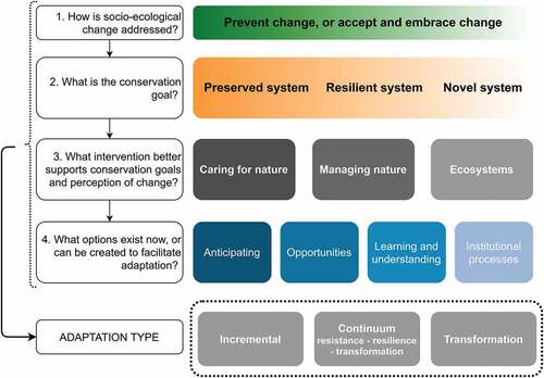 Figure 4. A conceptual model for adaptation in conservation. Depending on the perception of change (1) and the desired goals (2), the interventions (3) can differ. The options (4) for adaptation represent indirect underlying basis for all adaptation types, which can be an incremental process and separate from transformation, a continuum of resistance, resilience and transformation, or occur via transformation as an integral and necessary part of adaptation.