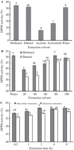 Figure 1. Radical scavenging activity on DPPH of D. candidum protocorm extract. (A) Effect of solvents, (B) effect of concentration of solvents (water, 20, 40, 60, 80 and 100% methanol and ethanol were used), (C) effect of extraction method. Mean values marked with different letters are significantly different at P ≤ 0.5.Figura 1. Actividad de captación de radicales en dpph del extracto de protocormo de D. candidum. (A) Efecto de solventes; (B) efecto de la concentración de solventes (se utilizaron agua, 20, 40, 60, 80 y 100% de metanol y de etanol); (C) efecto del método de extracción. Los valores medios indicados con letras diferentes son significativamente diferentes en P ≤ 0,5.