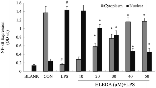 Fig. 6. Effect of HLEDA on nuclear translocation of NF-κB in LPS-induced RAW264.7 cells. HLEDA inhibits LPS-induced translocation of the p65 subunit from the cytosol to the nucleus in a concentration-dependent manner. RAW264.7 cells were stimulated with or without LPS (100 ng/mL) in the absence or presence of HLEDA (10, 20, 30, 40, or 50 μM) for 2 h. The cytoplasmic and nuclear extracts were prepared using a nuclear/cytosol fractionation kit, and were measured for levels of NF-κB using a commercially available NF-κB p65 ELISA kit (Cell Signaling Technology, Inc.). Control (CON) values were obtained in the absence of LPS and HLEDA. LPS values were obtained in the presence of LPS (100 ng/mL) and absence of HLEDA. Mean values ± SD (n = 3). #p < 0.05 compared with the control group. *p < 0.05 compared with the LPS-treatment group.