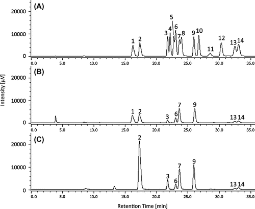 Figure 1. Typical HPLC chromatograms of (A) the OPA/NAC derivatives of d- and l-enantiomers of standard amino acids, (B) an extract of the macroalgae Sargassum fusiforme and (C) Sargassum thunbergii.