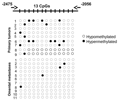 Figure 1. BSP analysis of the methylation status of RUNX1 in grade 3 primary serous EOC tumors compared with omental metastases. Filled circles represent methylated CpGs, and open circles represent unmethylated CpGs. CpG plot of the analyzed region is also presented (CpGs are displayed with vertical marks). The indicated positions on the CpG plot represent the number of nucleotides stretching upstream of the first exon of the RUNX1 gene.