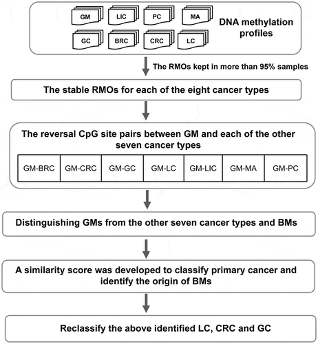 Figure 1. The workflow for identifying the origin of BMs. First, the stable RMOs of the CpG site pairs were identified for each of the eight cancer types. Compared with GM, reversal CpG site pairs were further selected for each of the seven other cancer types. Then, based on the reversal CpG site pairs of the other seven cancer types, GMs could be distinguished from BMs and the other seven cancer types. For non-GM samples, similarity scores were used to classify each type of the primary cancer samples and to identify the tissue origins of the BMs. Due to the relatively low specificity of LC using only the above similarity scores, the above identified LCs were reclassified. Because GC and CRC tend to be confused, the above identified GC and CRC were further reclassified based on the reversal CpG site pairs between GC and CRC using a simple majority vote rule
