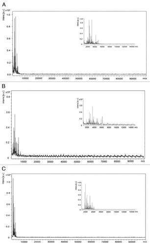 Figure 1 The mass spectrums of the pooled CSF sample of probable sCJD patients (A), non-CJD cases with dementia (B) or without dementia (C). The mass spectrogram of MALDI-TOF illustrates most of signal peaks locate at the m/z range less than 10 KD after enrichment with profiling kit MB-WCX. Inserted figure shows the signal peaks in the m/z range from 1–15 KD. X-axis represents mass charge ratio and Y-axis represents intensity.