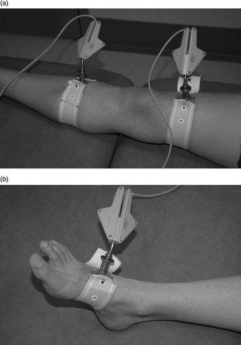 Figure 2. External tracker mountings with curved base plates and adjustable elasticated straps. (a) Mounting of trackers on thigh and calf. (b) Foot tracker mounting.