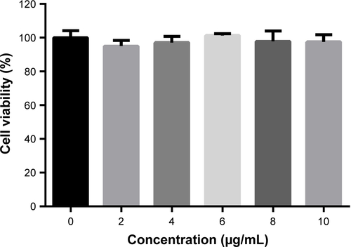 Figure S5 Cytotoxicity analysis of free nucleobase 2-amino-6-chloropurine using HeLa cell as a model.Note: Data are expressed as mean ± SD of three experiments.