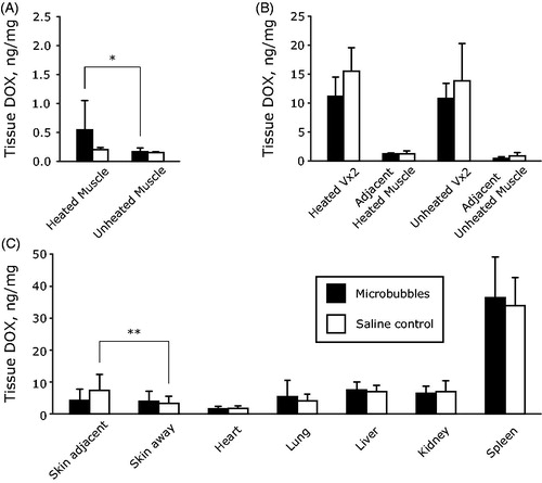 Figure 8. Summary of doxorubicin delivery to heated and unheated tissues. (A) Delivery directly to heated and unheated muscle tissues without Vx2 inoculation. (B) Delivery to heated and unheated Vx2 tumors and the adjacent muscle surrounding the tumors in both cases. (C) Doxorubicin distribution following 24 h circulation of Caelyx (2.5 mg/kg doxorubicin) in different organ tissues. Comparisons were made with a two-sided paired t-test between heated and unheated tissues, *p < .05, **p < .01.