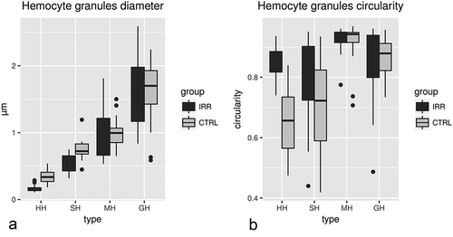 Figure 3. Diameter (a) and circularity (b) of granules characterising the four types of haemocytes. CTRL: control group, HH: Hyaline haemocytes, SH: semigranular haemocytes, MH: medium granule haemocytes, GH: granular haemocytes. IRR: irradiated group.