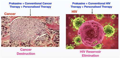 Figure 16. Possible strategies to cure HIV and cancer with Prakasine.