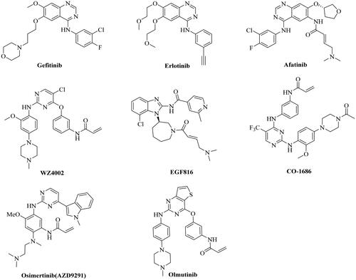 Figure 1. Structures of EGFR kinase inhibitors.