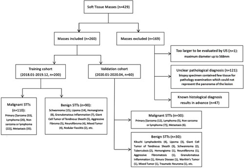 Figure 1 Flow diagram of the study participants.