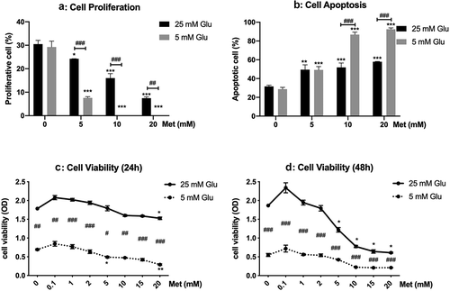 Figure 1. Effects of metformin on proliferation, viability, and apoptosis of PANC-1 cells cultured in high and low glucose conditions.