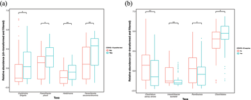 Figure 6. (a) Associations between a previous COVID-19 infection and the relative abundance of Escherichia-Shigella (mdn = 0.15 versus mdn = −1.36) (GLM, p = 0.004, r = 0.23, n = 198), Parasutterella excrementihominis (mdn = 2.85 versus mdn = 0.48) (GLM, p = 0.0003, r = 0.25, n = 198), Flavonifractor plautii (mdn = 1.52 versus mdn = 0.43) (GLM, p = 0.002, r = 0.21, n = 198) and Holdemania (mdn = −0.60 versus mdn = −1.29) (GLM, p = 0.0003, r = 0.24, n = 198). (b.) Associations between COVID-19 vaccine administration and the relative abundances of Clostridium sensu stricto (mdn = −0.79 versus mdn = 0.65) (GLM, p = 0.005, r = 0.22, n = 198), Intestinibacter bartlettii (mdn = −1.58 versus mdn = −1.33) (GLM, p ≤ 0.002, r = 0.3, n = 198), Romboutsia (mdn = −0.48 versus mdn = 0.22) (GLM, p = 0.01, r = 0.22, n = 198) and the Clostridiales order (mdn = 4.61 versus mdn = 3.77) (GLM, p = 0.01, r = 0.25, n = 198). Y-axes show the clr-transformed relative abundances of the taxa. The solid line indicates the median, lower and upper bounds of boxes indicate the first and third quartiles, respectively; whiskers indicate the 1.5 IQR beyond the upper and lower quartiles. Dots represent outlier data points. Sample sizes: previous COVID-19 infection YES n = 42, previous COVID-19 infection NO n = 156. COVID-19 vaccine administered YES n = 90, COVID-19 vaccine administered NO n = 108. Significance * for p ≤ 0.05, ** for p ≤ 0.005.