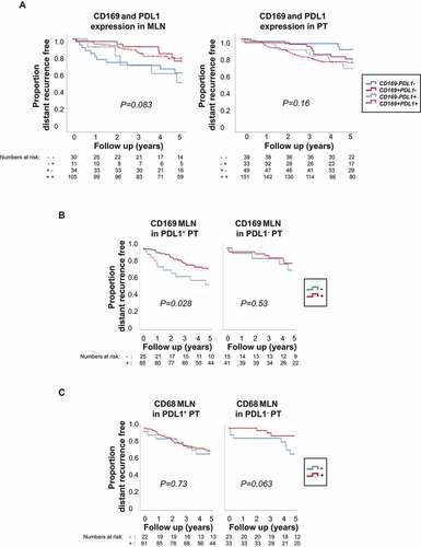 Figure 5. Kaplan-Meier curves illustrating differences in 5-year distant recurrence-free interval (DRFi) according to CD169, CD68 and PDL1 expression in metastatic lymph node (MLN) and primary tumors (PT) of breast cancer patients. P value by log-rank test. (a) Combined individual expression of CD169 and PDL1 in metastatic lymph node (left) and primary tumor (right). Solid lines indicate PDL1− tumors, and dashed lines PDL1+ tumors, with (red) or without (blue) CD169 expression respectively (3-df test). (b) CD169 expression (-/+) in metastatic lymph node (CD169 MLN) in patients with PDL1 positive primary tumor (PDL1+ PT) (left) and PDL1 negative primary tumor (PDL1− PT) (right). (c) CD68 expression (-/+) in metastatic lymph node (CD68 MLN) in patients with PDL1 positive primary tumor (PDL1+ PT) (left) and PDL1 negative primary tumor (PDL1− PT) (right)