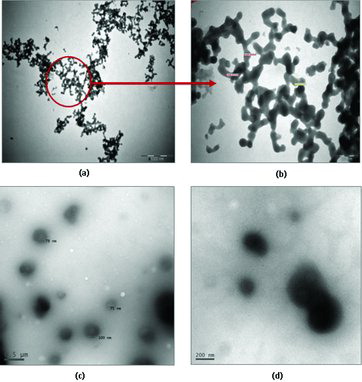 Figure 6. TEM images of the nanostructure formed by (a, b) α-CD/DABA and (c, d) β-CD/DABA.