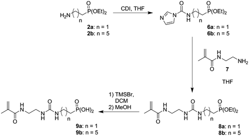 Scheme 2. Synthesis of monomers 9a and 9b.