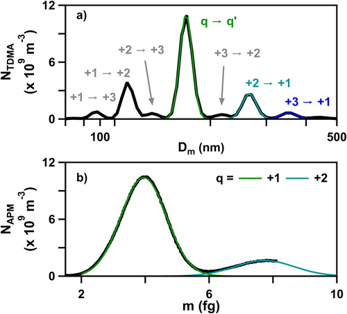 Figure 5. (a) Tandem DMA number density (NTDMA) as a function of mobility diameter for AS particles with an aerodynamic diameter (Dae) ≈ 250 nm. Particle net charge (q) is denoted as q → q′ where q and q′ correspond to the q in the first and second DMA, respectively. (b) DMA-APM number density (NAPM) as a function of mass (m). The net charge +1 (green), +2 (cyan) and +3 (blue) on the particles is shown.