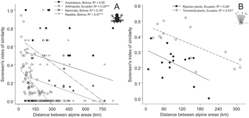 FIGURE 4. Relationships between community similarity and spatial distance between pairs of alpine areas for (A) animals; (B) plants. R2 extracted from linear regressions for each taxonomic group. Similarity expressed with Sørensen's index.