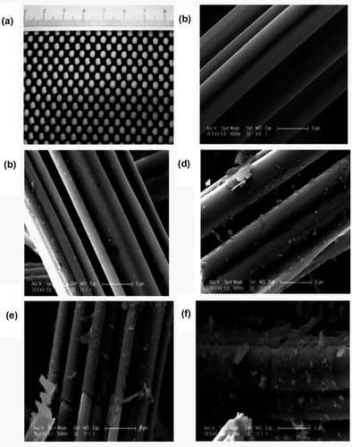 Figure 2. (a) Digital picture of ACF and scanning electron microscope (SEM) images of (b) ACF, (c) ACF-12.5, (d) ACF-20, (e) ACF-40, and (f) ACF-80.