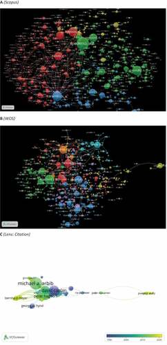 Figure 11. (Co)-citation by cited author network visualization.