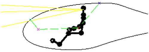 Figure 9. The definition of the polygon for the canopy.