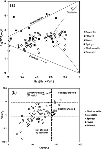 Figure 7. (a) Plot of data from observed samples on a Gibbs diagram. (b) Plot of Cl/HCO3 ratios versus Cl concentrations showing that about 30% of the shallow wells are slightly affected by saline water; groundwater from boreholes does not show saline water influence.