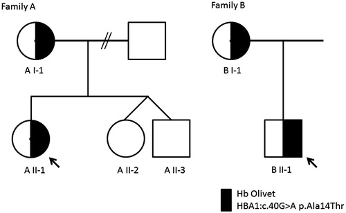 Figure 1. Pedigrees of the Surinamese family living in The Netherlands (family A) and the French-Portuguese family living in France (family B). The proband in each family is indicated by an arrow.