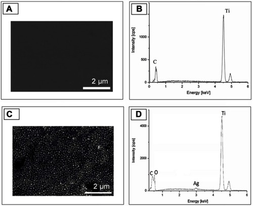 Figure 2 SEM image and EDS spectra of the surface before (A and B) and after (C and D) ECR+PVD treatment. Signal from the silver nanoparticle detected.Abbreviations: ECR, electron cyclotron resonance; EDS, energy dispersive X-ray spectrometry; PVD, physical vapor deposition; SEM, scanning electron microscope.