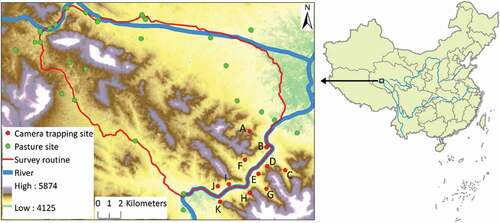 Figure 1. The Yage Valley region in the Sanjiangyuan National Park on the Tibetan Plateau, western China, showing the rugged terrain on the north bank and the camera trap layout in the valley. Capital letters are references to camera trapping sites