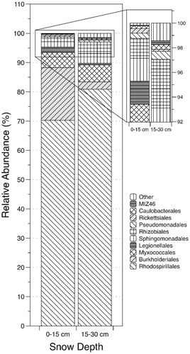 FIGURE 4. Relative abundances of each order within the Proteobacteria phylum recovered from each snow depth (0–15 and 15–30 cm) at the Shorthair Creek site. Both graph and legend share the same order, sequential from top to bottom. Rhodospirillales accounted for the majority of Proteobacteria sequences in both samples. “Other” indicates the combined relative sequence abundance of the 17 additional, rare taxonomic Proteobacteria orders.