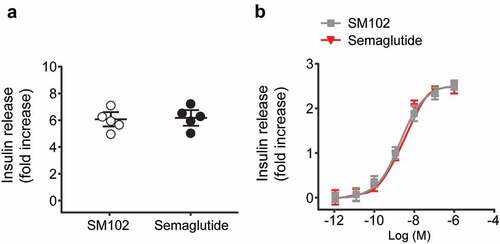 Figure 2. Comparable in vitro insulin secretory effects of SM102 and Semaglutide. Insulin secretion from (a) mouse islets and (b) INS-1 832/3 cells. Data represented as mean ± SD (n = 5), *, **p < 0.05, 0.01.