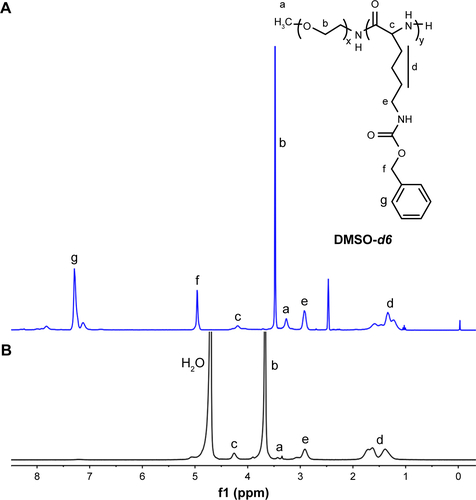 Figure S2 1H NMR spectra of PEG-b-PLLZ in DMSO-d6 (A) and PEG-b-PLL (B) in D2O.Abbreviations: DMSO-d6, deuterated dimethyl sulfoxide; NMR, nuclear magnetic resonance; PEG-b-PLL, poly(ethylene glycol)-b-poly(L-lysine).