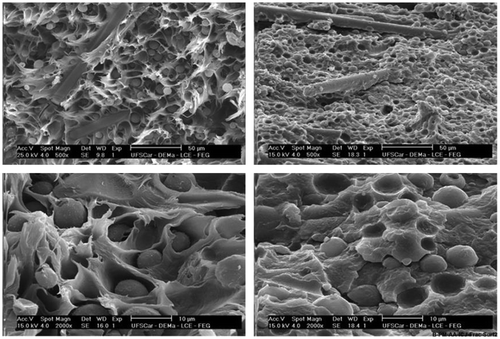 Figure 21. Fracture surface of PA66-GF composite after injection clinching joining (ICJ): (a) rivet pull-out failure, ductile: condition 60C-PA66 (composite dried for 24 h at 60°C) and (b) net tension, brittle failure: condition 120C-PA66 (composite dried for 24 h at 120°C) [Citation178].