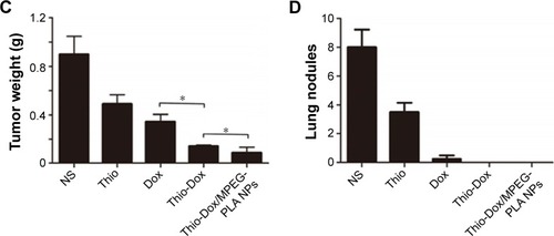 Figure 4 Intravenous injection of Thio-Dox/MPEG-PLA NPs inhibited the growth of breast cancer cells in vivo.Notes: (A) Tumor development curve. Female mice were subcutaneously transplanted 4T1 cells on day 0. On day 5, the mice were randomized into five groups and intravenously injected with saline (control), free Thio, free Dox, free Thio and Dox, and Thio-Dox/MPEG-PLA NPs twice a week. (B) Representative photographs of tumors in each treated group on day 22. (C) Tumor weight in different groups on day 22. (D) Numbers of lung nodules in different groups. For all graphs, error bars indicate mean ± SD, *P<0.05.Abbreviations: Thio, thioridazine; Dox, doxorubicin; MPEG-PLA, methoxy poly(ethylene glycol)-poly(l-lactic acid); NP, nanoparticle; PEG-PLA, poly(l-lactic acid)-poly(ethylene glycol).