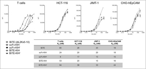 Figure 5. Relative cell binding affinities of αEpCAMxαCD3 bispecific antibodies. 5-10xdiL2K-KIH bispecific antibodies binding to CD3 T cells (A) and EpCAM+ HCT-116 (B), JIMT-1 (C) and CHO-EpCAM cells (D) was determined by FACS. Xpress CF expressed 5-10xdiL2K is a bispecific molecule with 2 tandem scFv, serving as a positive control. Mean values and standard deviation of duplicate values are shown.