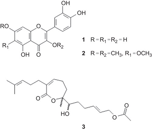 Figure 1.  Structure of the compounds quercetin (1), crysosplenol D (2) and acanthoaustralide-1-O-acetate (3) isolated of the Acanthospermum australe.