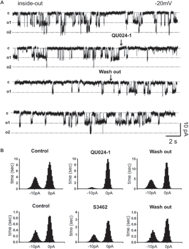 Figure 6. Open time of Panx1 channels is reduced by (±)-erythro-(R*/S*)-mefloquine from Bioblocks (QUO24-1) but not by that from Sigma (S3462). Single-channel inside-out recordings were performed on mPanx1-GFP–transfected Rin-m cells. (A) Single channels were recorded while holding the pipette potential at −20 mV; arrows indicate the moments of drug application and washout. (B) Bar histograms showing the frequency distribution of time that Panx1 channel spent at two conductance states (closed: 0 pA; open: −10 pA). Note that QU024 but not S3462 mefloquine greatly reduced the time that Panx1 spent on the open state. Analyses were performed on 60–90-s single-channel recordings digitized at 2000 Hz.