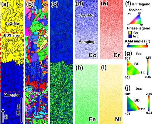 Figure 5. Texture development in the transition zone of the HT1 sample: (a) phase map showing fcc and bcc structures, (b) inverse pole figure colour map, (c) kernel average misorientation maps, (d,e,h,i) EDS maps for Co, Cr, Fe and Ni, respectively, (f) corresponding legends for a–c, (g) IPF representation of fcc grains and (j) IPF representation of bcc grains.