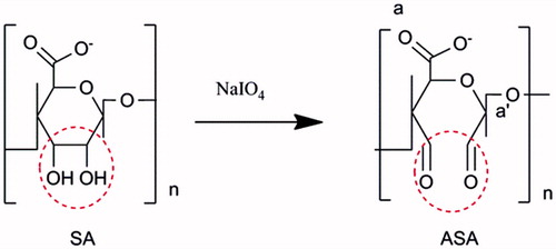 Figure 4. The reaction schemes of sodium alginate to aldehyde sodium alginate.