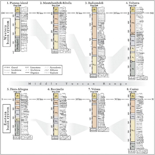 Figure 2. Schematic type sections of the late Miocene successions of the Tuscan hinterland and northern Tyrrhenian Sea, with Tortonian non-marine tracts (shaded in light gray) occurring in most basins. Locations for the sections are reported in Figure 1a. Age of depositional units is as follows: late Serravallian - early Tortonian (st1), early - middle (?)/late Tortonian (tt1), middle (?)/late Tortonian (tt2), early Messinian (ms1), early - middle (?) late Messinian (ms2–3), and Zanclean (pl1). Data in part from: CitationCornamusini et al. (2014), section 1; CitationLazzarotto and Mazzanti (1976), CitationBossio et al. (1994, Citation1996, Citation1998), CitationForesi et al. (1997, Citation2000, Citation2003), CitationCostantini et al. (2002, Citation2009), CitationLazzarotto et al. (2002), and CitationIelpi (2013), sections 2–4; CitationBossio et al. (2004) and CitationCornamusini et al. (2011), section 5; CitationBenvenuti et al. (2001), CitationRook and Ghetti (1997), and CitationRook, Oms, Benvenuti, and Papini (2011), sections 6–7; CitationBossio et al. (2002), section 8.